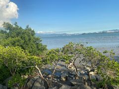 -深圳湾公园(南山区)