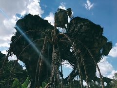 -奥兰多迪士尼动物王国乐园