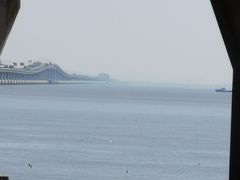 -芦潮港集贸市场