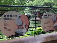 -九龙公园