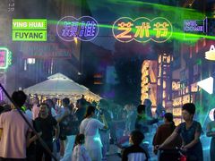 -祥源·阜阳生态乐园