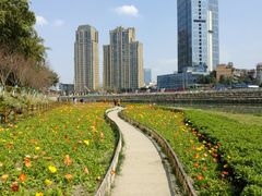 景点-望江楼公园