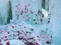 -洛阳白云山景区