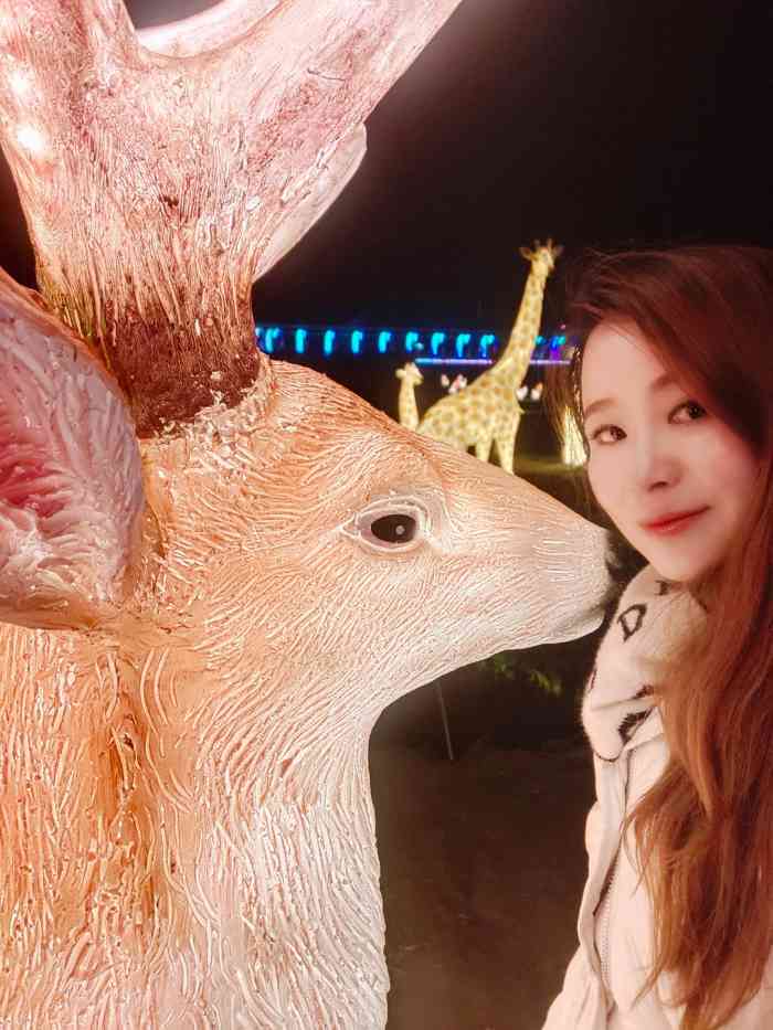 梦幻后山游乐场-"白天去的,感觉一般,但是泾县能有这样的项.