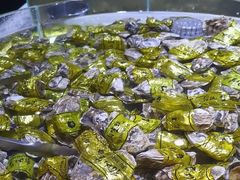 -聚盛源蒸汽海鲜火锅烤肉自助(巨川金海岸购物广场店)