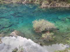 -叠溪松坪沟景区