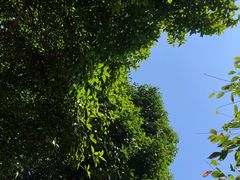 -南山植物园