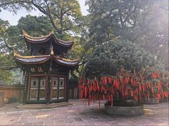 -峨眉山报国寺