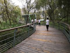 -西湖风景区-江洋畈生态公园