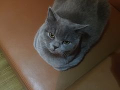 -Rabbit Cafe私房西餐甜点咖啡(栖霞路店)