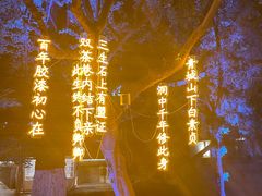 -七欣天香辣蟹火锅(苏州东大街店)