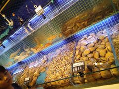 -必点海鲜·鲅鱼水饺(鞍山西道店)