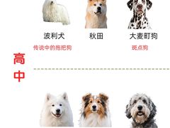 -宠乐迪宠物生活馆(德平路店)