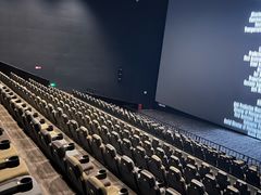 -SFC上影影城(北京大兴龙湖天街IMAX店)