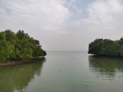 -深圳湾公园(南山区)