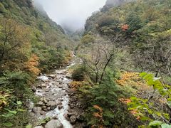 -青峰峡国家森林公园