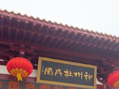 -神州牡丹园