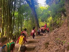 -宾果蒙特梭利托育儿童之家幼儿园(爱琴海店)