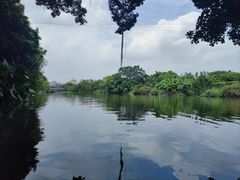 -小洲村