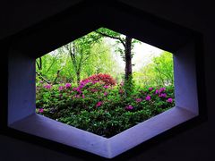 -尚贤河湿地