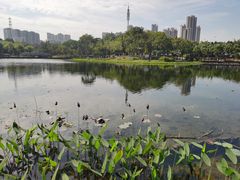 -映月湖公园