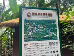 -野象谷景区