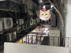 -珍妮曲奇聪明小熊(尖沙咀店)