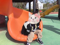 -上海怡沁园度假酒店