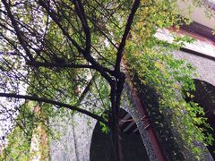 -上海孙中山故居纪念馆