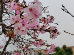 -宝墨园景区