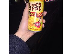 -台场海滨公园船码头