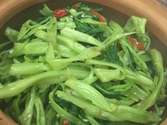 -凤城康记饭店