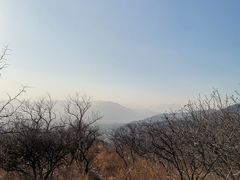 -鬼笑石后山停车场
