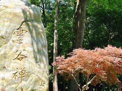 -灵谷景区