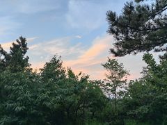 -北京西山国家森林公园