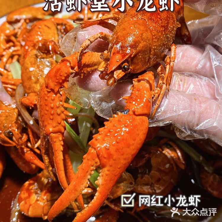 杭州城西夜宵好去处🌃活虾堂小龙虾抢“鲜”上市‼️安排🙋‍♂️
