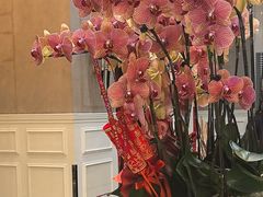 -虹御轩·传承江浙菜(虹桥店)
