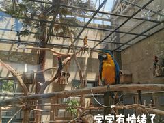 -大连森林动物园