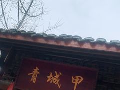 门面-青城甲(青城山店)
