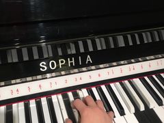 -星海音乐学院(沙河校区)