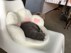 -泰国佛·塔罗·泰牌狐仙古曼