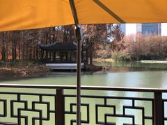 -尚贤河湿地