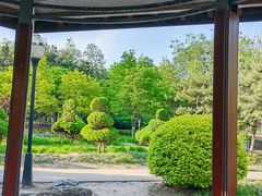 -太阳宫公园