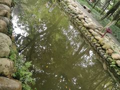 -成都市活水公园