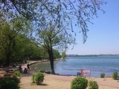 -丁香湖公园