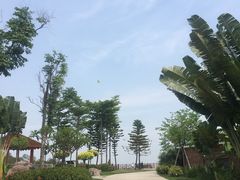 -广州莲花山旅游区