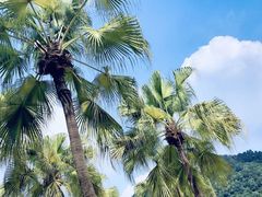 -重庆海昌加勒比海水世界