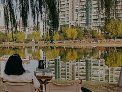-西北湖绿化广场