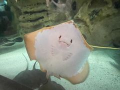 -珠海长隆海洋王国