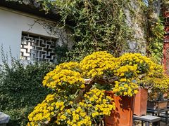 -惠山古镇·寄畅园